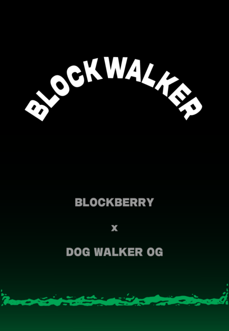 BLOCKWALKER