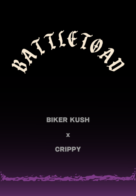 BATTLETOAD