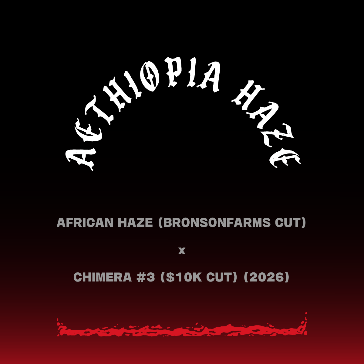 AETHIOPIA HAZE